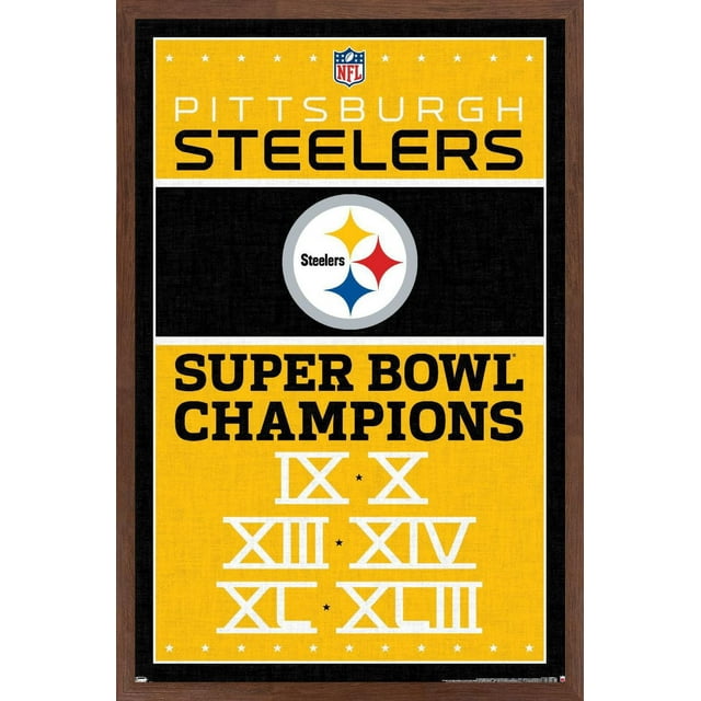 NFL Pittsburgh Steelers - Champions 13