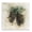 Rustic Woodland Pinecone Floral, variant on Stupell Industries Farmhouse Pine Cone Watercolor Canvas Art, 17 x 17, by Ethan Harper