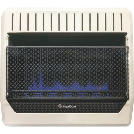 ProCom Dual Fuel Blue Flame Gas Wall Heater (Best Calor Gas Heaters)