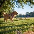 thumbnail image 6 of No Pull Tug Resistant Dog Harness and Leash Set Extra Large Purple Durable Reflective Adjustable Harness for Large Breed Dogs Outdoor Walking Hiking Training, 6 of 6