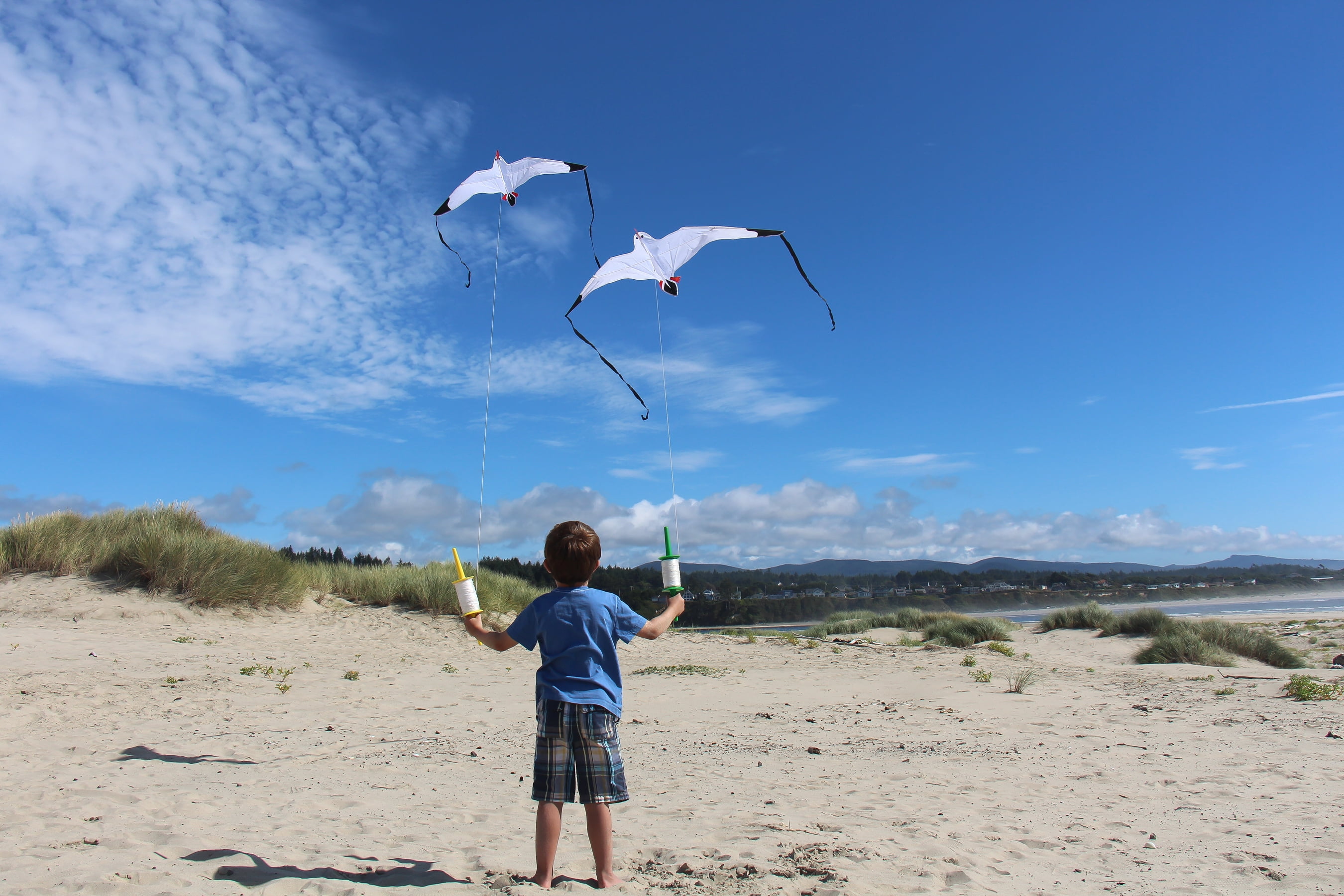 In the Breeze 3140 — Seagull Kite — Fun, Easy Flying Single-Line Kite for All Ages — Sea Life Kite