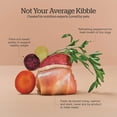 thumbnail image 4 of Senior GF Small Breed - Dry Dog Food, 4 of 5