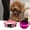 PK, variant on EGNMCR Dog Toys, Pet Toy Dog Collar USB Rechargeable Bright & High Visibility Lighted Collar For Pet Night Walking In 3 Colors Glow Collar