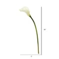 thumbnail image 2 of Vickerman 26'' Artificial White Calla Lily Stem, 6 per Bag., 2 of 3