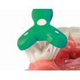 thumbnail image 1 of Cepillo de dientes SURROUND paquete de 2 morado y verde de 3 cerdas, 1 of 2
