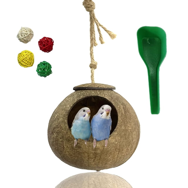 Casa colgante Bird Nest Kathson con cáscara de coco natural
