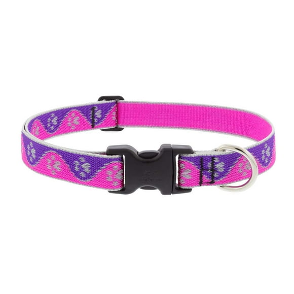 Collar para perro LupinePet reflectante ajustable 41-71 cm rosa