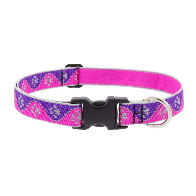 Collar para perro LupinePet reflectante ajustable 41-71 cm rosa