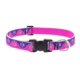 thumbnail image 1 of Collar para perro LupinePet reflectante ajustable 41-71 cm rosa, 1 of 4