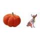 thumbnail image 5 of Encantadora Escultura De Peluche De Cachorro De Calabaza, Cojín Decorativo Y Adorno De Chihuahua Multicolor Para Una Decoración Acogedora De Dormitorio Y Sala De Estar., 5 of 8