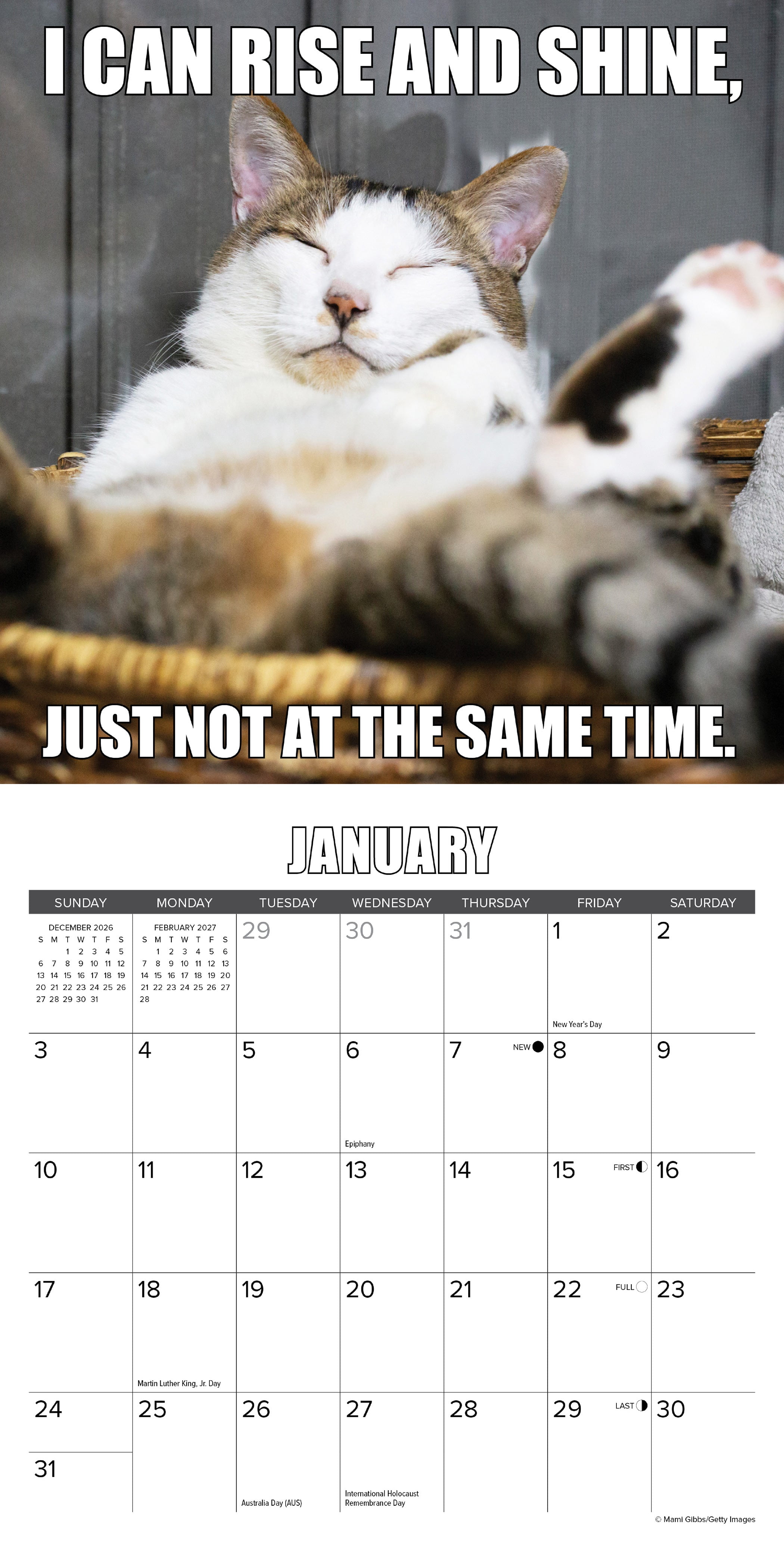Willow Creek Press, Cat-astrophe 2027 Mini Wall Calendar