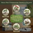 thumbnail image 2 of Hidden Roots Understory Mix &acirc;?? Soil-Free Mineral Substrate for Potted Indoor Plants (2 L) with Additive Kit, 2 of 7