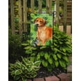 thumbnail image 2 of Carolines Treasures BB9850GF Rhodesian Ridgeback St.Patricks Flag - Garden Size, 2 of 3