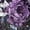 Purple Floral Skull, variant on FUIALDOLG Love Heart Skull Funny Golf Shirts for Women Performance Moisture Wicking Quick Dry Athletic Long Sleeve Tops V-Neck Half Zip Golf Polo Shirts for Halloween Wear,2XL