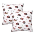 thumbnail image 1 of Fundas de almohada de Mario, paquete de 2 fundas de almohada para sofá cama, sala de estar, 20 x 20 pulgadas, 1 of 8