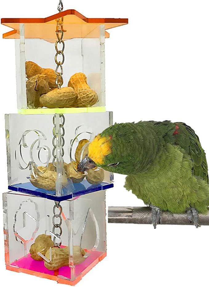 foraging toys