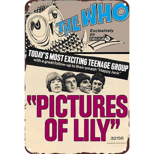 Chapa Metal Vintage The Who Pintura Hierro Rectangular Barra Pared 20x30cm