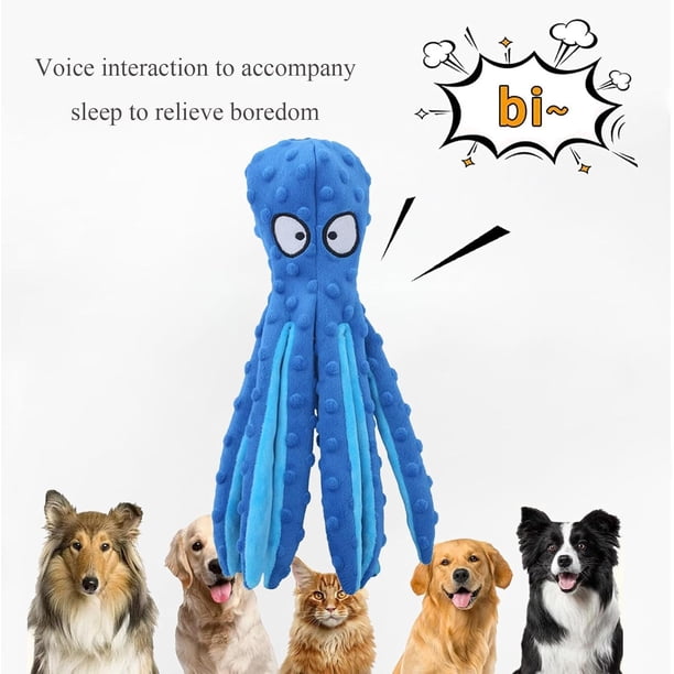 100 ft dog training leash Dog Leash Long Obedience Recall Foot Feet Training Lead 6/15/23/33/50/