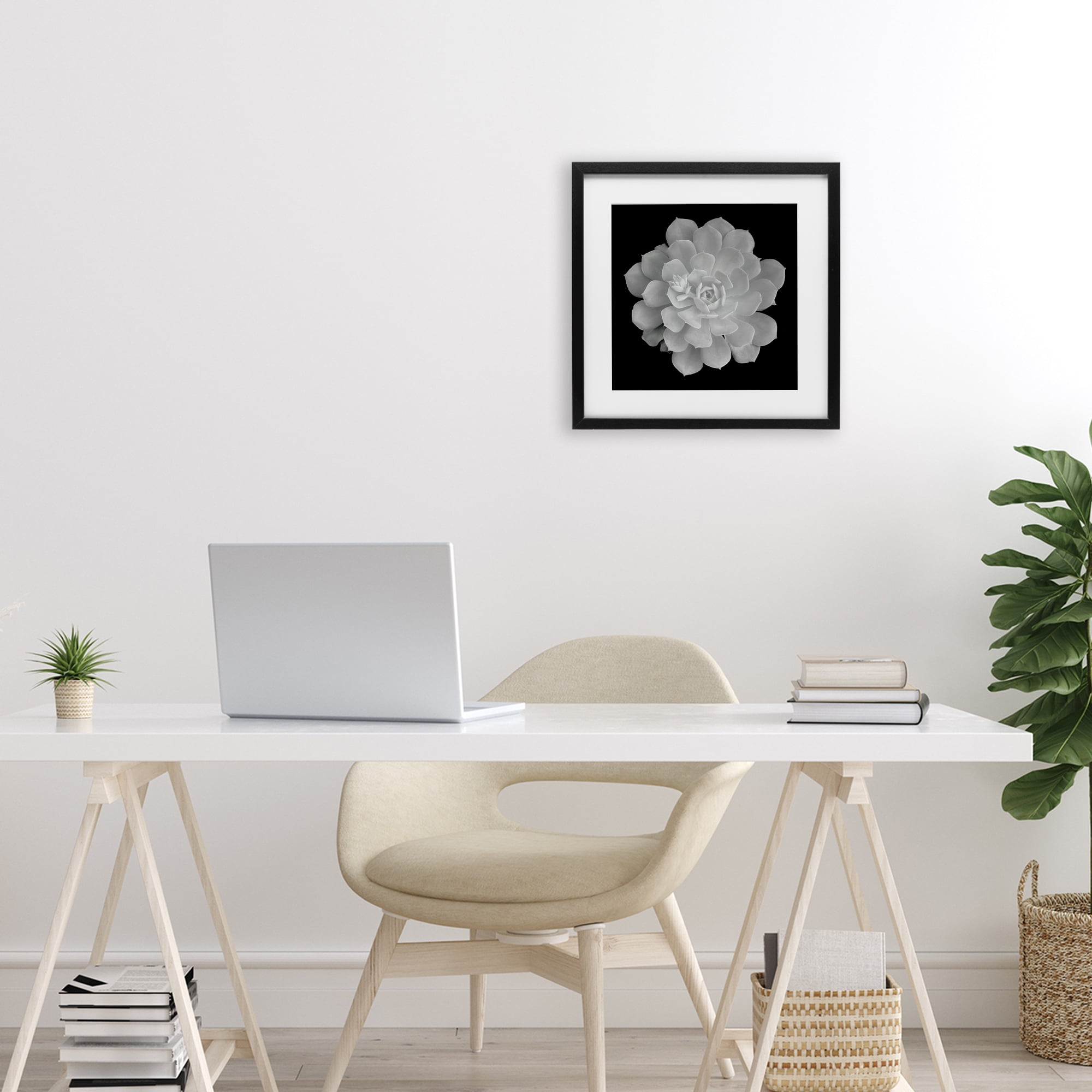 Pure White Succulent Contrast Black Framed Print Under Glass, design by Phillip Flowers