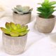 thumbnail image 3 of Gwong Decoración hogareña Flor artificial Suculenta Planta Papel Polp Pot Bonsai Ornament Decoración de jardín Gwong 21041917, 3 of 7