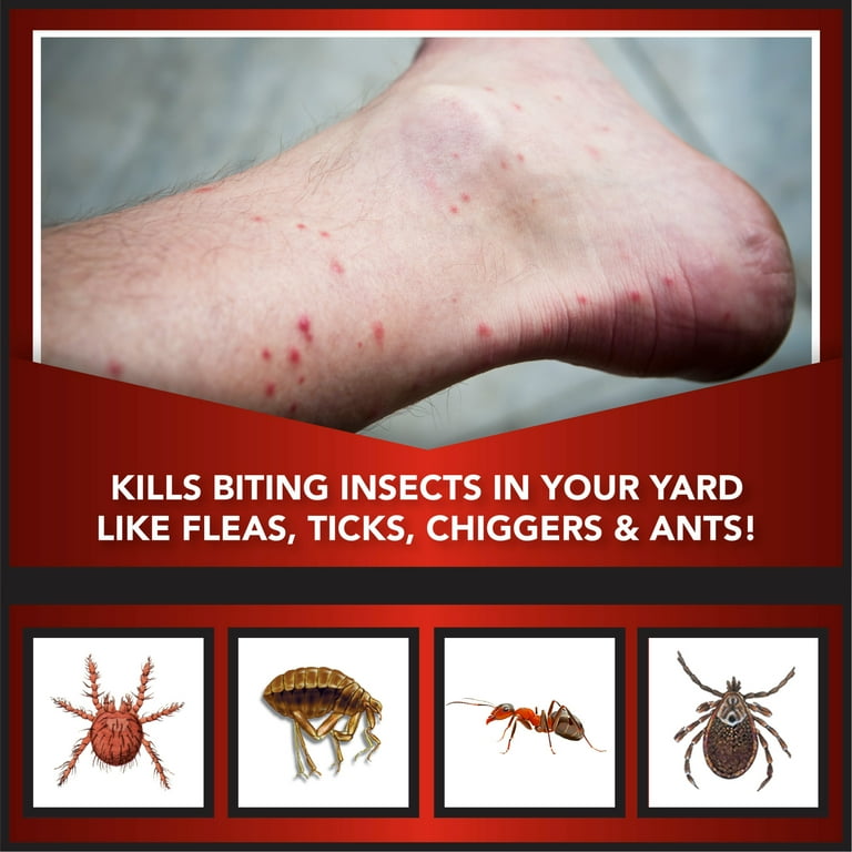 Eliminator Ant, Flea and Tick Killer Insecticide Granules, Outdoor