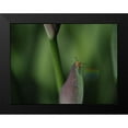 thumbnail image 2 of Bonin, Suzanne 14x12 Black Modern Framed Museum Art Print Titled - Spider with Rainbow Drop, 2 of 5