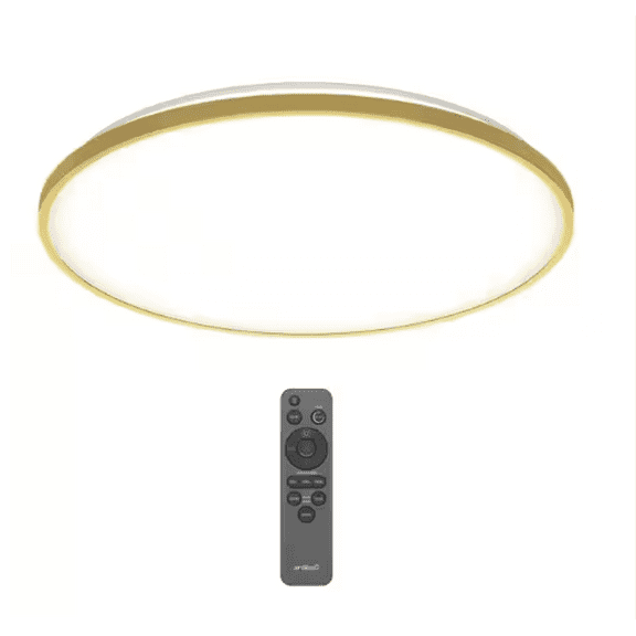 Europa 21 in. 1-Light Modern Gold Integrated LED 3 CCT Flush Mount Ceiling Light Fixture for Kitchen or Bedroom