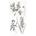thumbnail image 2 of Grey, Jace 18x32 Black Ornate Wood Framed with Double Matting Museum Art Print Titled - Plants, 2 of 4