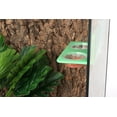 thumbnail image 4 of czcpp-Crested Gecko Alimentation Ledge avec 10 Pcs Tasses pour Reptiles - Vert, 4 of 4