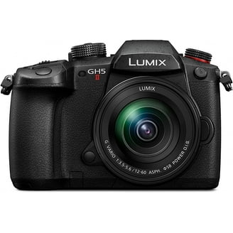 美品 撮影2777枚 DC- GH5S LUMIX G ケージ・バッテリー3個付 美品 撮影2777枚 DC- GH5S LUMIX G ケージ・バッテリー3個付 美品