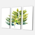 thumbnail image 3 of Designart ' Ylang Ylang Flower On White ' Traditional Canvas Wall Art Print, 3 of 3