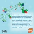thumbnail image 2 of RaZbaby Fruit Feeder Pacifier 6m+ (2 Pack), Add Frozen Fruit or Fresh Food | Silicone Pouch | BPA Free | Tan/Grey, 2 of 8