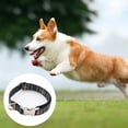 thumbnail image 3 of 1. Vibrante y atrevido, este hermoso collar para perros de poliéster mostrará el estilo único de su perro en todas las estaciones., 3 of 5