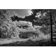 thumbnail image 2 of Hawkins, Peter 32x23 White Modern Wood Framed Museum Art Print Titled - USA-Minnesota-La Salle State Recreation area, 2 of 4
