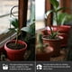 thumbnail image 4 of 3 soportes de hierro para plantas trepadoras, enrejado para plantas, suministros de jardín, enrejado para plantas trepadoras, 4 of 6