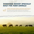 thumbnail image 5 of Farm Innovators Heated Bucket Flat Back - 5-Gallon, Green, 120V, 120W - 1 Piece, 5 of 8