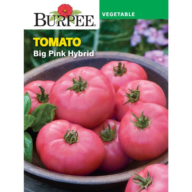 Burpee Big Pink Hybrid Tomato Vegetable Seed, 1pack