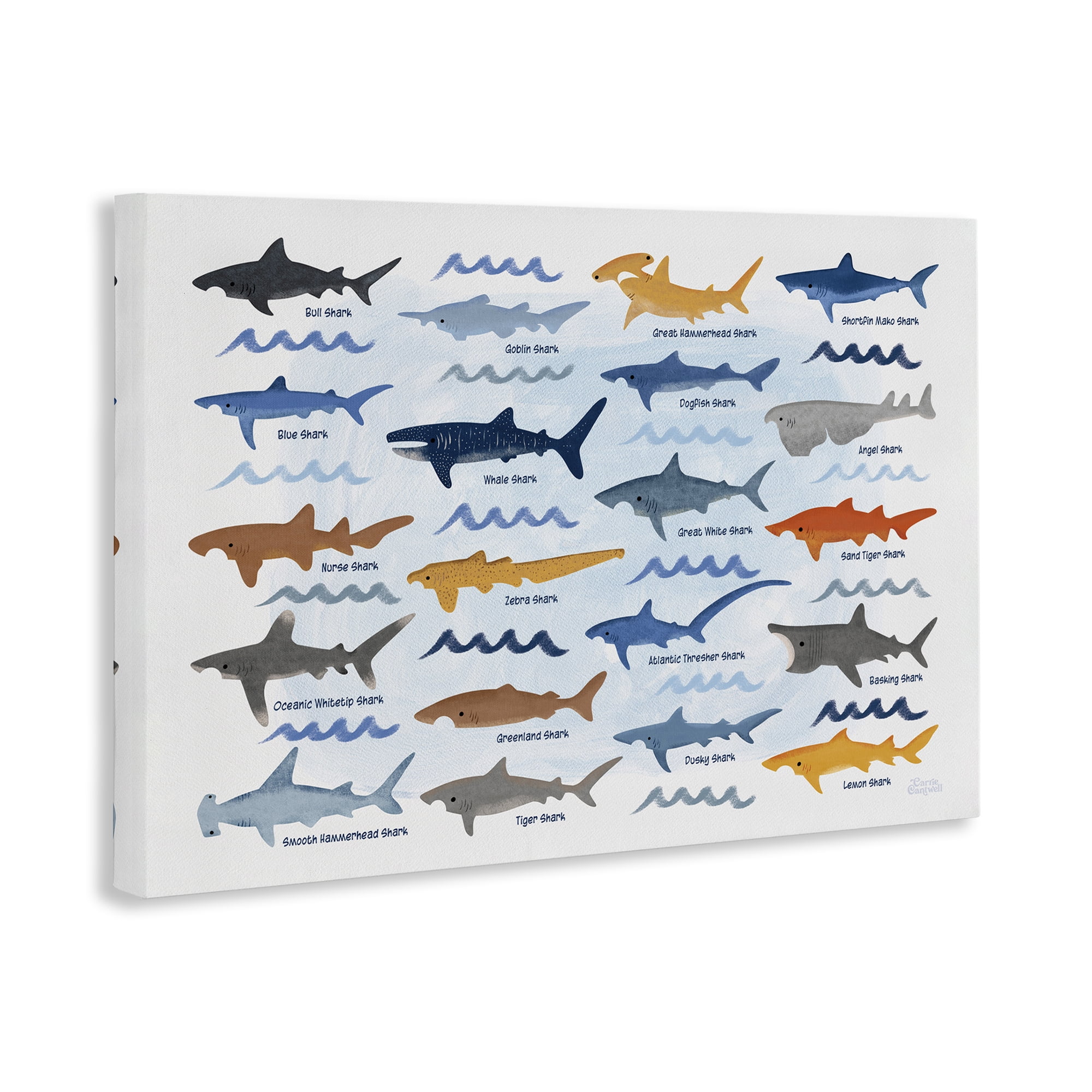 Stupell Industries Various Shark Breeds Coastal Painting Gallery Wrapped Canvas Art Print Wall Art, 45 x 30
