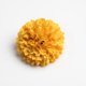 thumbnail image 4 of Flores Artificiales BLESIY Crisantemo naranja 10 Piezas, 4 of 8