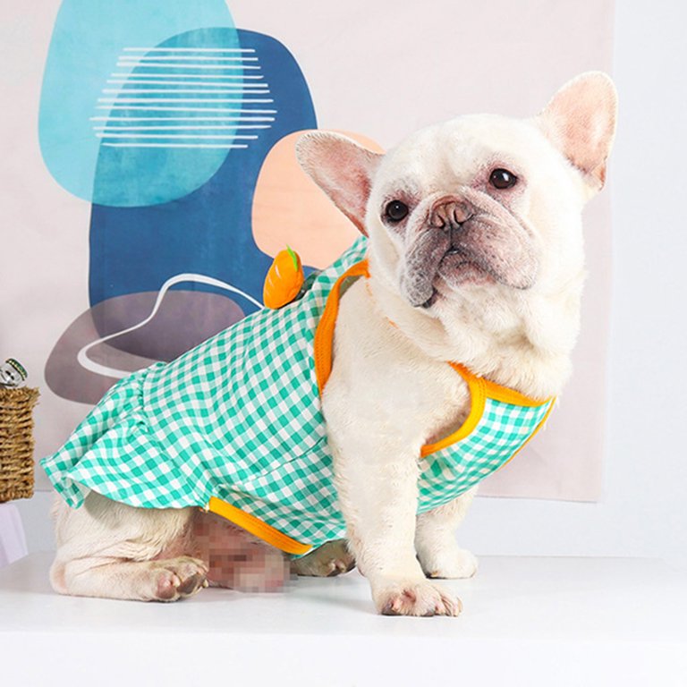 Hawaii Pet Female Summer Clothes Dog Dress Carrot Decor Plaid Sling Summer  Kitty Clothes Dog Pet Apparel Sundress for Small Medium Dogs - Walmart.com