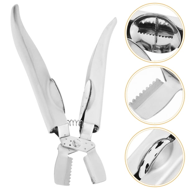 FUTUREORYY Herramienta Multifuncional Para Abrir Castañas Y Nueces Con Pinza De Acero Plateado
