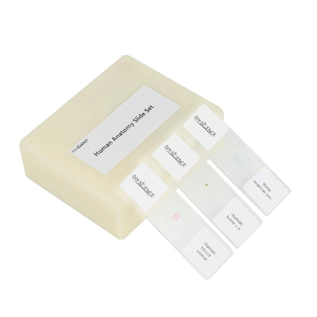 Prepared Human Tissue Anatomy Microscope Slides Set, 17pcs Hand-Prepared Slides Survey The Major Tissues and Organs of Human Body Dedicated to Human Physiology (Human Anatomy)