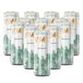 thumbnail image 1 of 12 Pack Bebida Alcohólica Preparada VMC Margarita 355 Ml VMC Bebida Alcohólica Preparada, 1 of 1