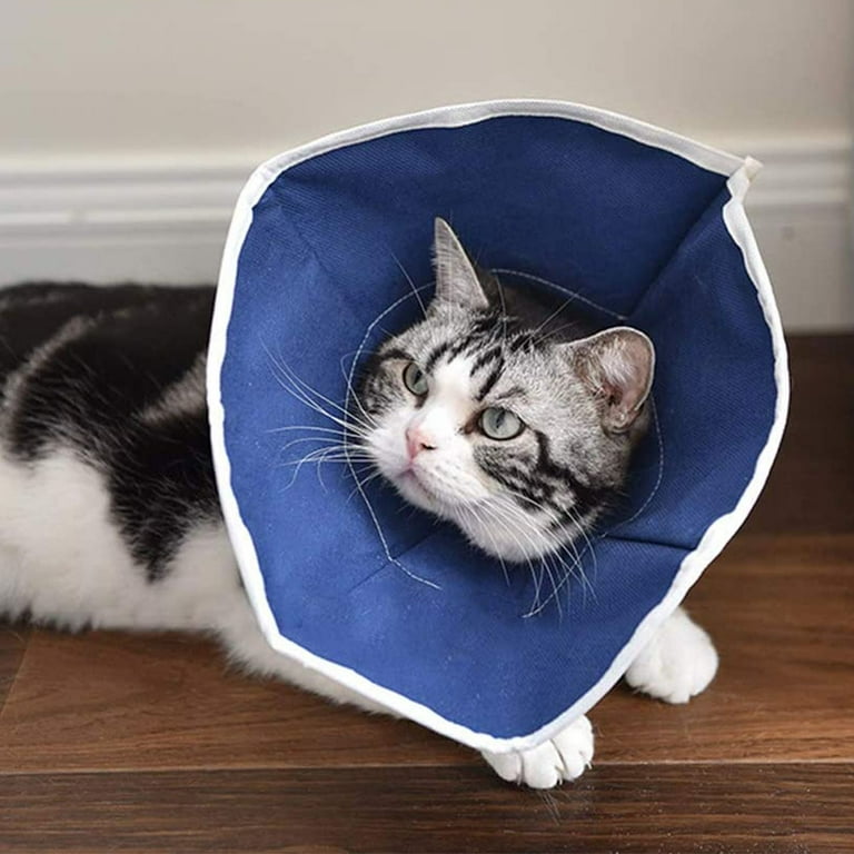 Cat Recovery Collar Cat Cone E Collar Nonwoven Fabric Elizabethan Collar Loops Protective Wound Healing Specially Designed for Cats BlueM