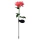 thumbnail image 1 of Luz de tierra para césped, lámpara LED de flores, luz de cerca, paisaje, patio, decoración de jardín JShteea  El nuevo, 1 of 1