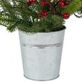 thumbnail image 6 of Northlight Pre-Lit LED Mixed Pine Potted Christmas Tree with Berries and Cardinals - 2' - Warm White, 6 of 7