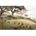 thumbnail image 2 of Amos, Andy 24x17 White Modern Wood Framed Museum Art Print Titled - Irish Hillside, 2 of 4