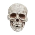 thumbnail image 2 of Aqestyerly Squelettes d'Halloween, Modèle de Tête en Résine Simulation Accessoire d'Halloween, Mini Squelette Décor Effrayant d'Halloween Fournitures de Fête, 2 of 6