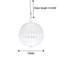 thumbnail image 2 of Rabbit Feeder Ball - 5.1inch Stainless Steel Hanging Feed Dispenser for Bunny Hamster Guinea Pig Rat Chinchilla, 2 of 8