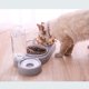 thumbnail image 3 of Juego de 1 cuenco elevado doble para gatos - Inclinable 15° - Antivómitos - Almacenamiento automático de agua - Gatos y cachorros (gris), 3 of 5